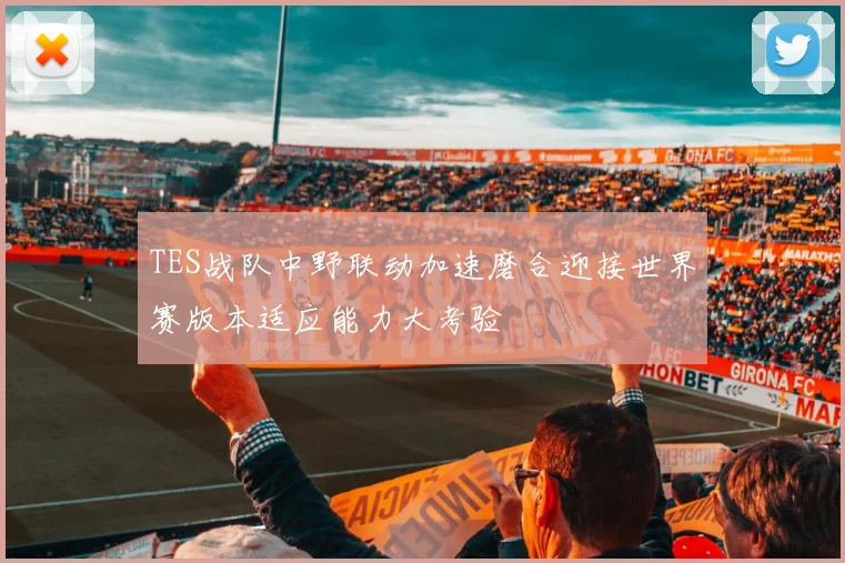 TES战队中野联动加速磨合迎接世界赛版本适应能力大考验